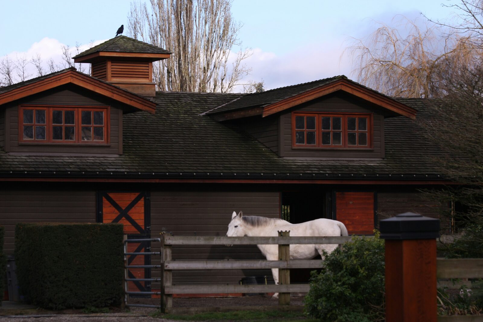 Rider on horseback in a riding arena